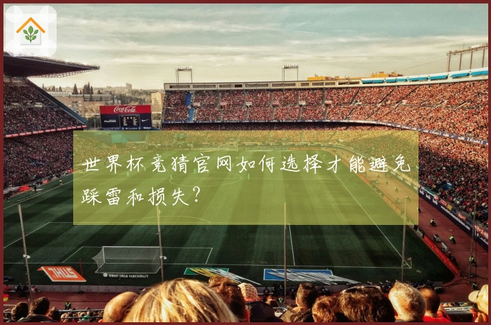 世界杯竞猜官网如何选择才能避免踩雷和损失？