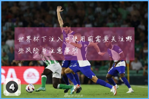 世界杯下注入口使用前需要关注哪些风险与注意事项